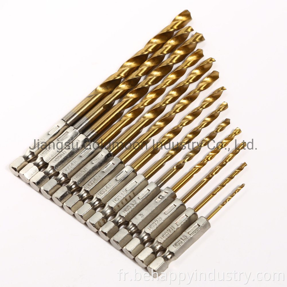 170pcs Din338 HSS Driver PDC Twist Diamond Core Drill Bit Set dans un boîtier en métal